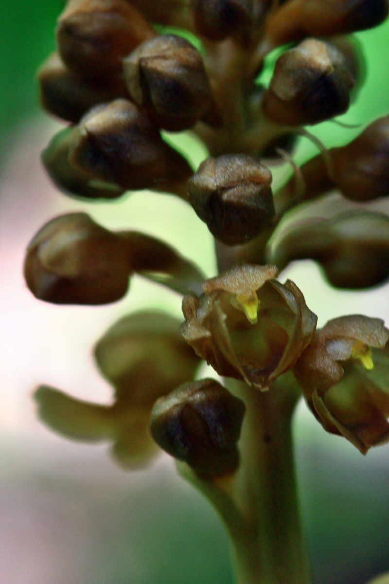 2013_05_21_00016338_Bildgr��e �ndern