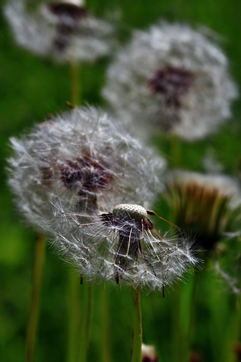 2013_05_21_00016359_Bildgr��e �ndern