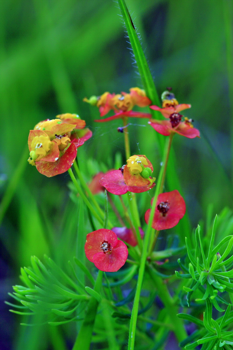 2013_05_23_00016365_Bildgr��e �ndern