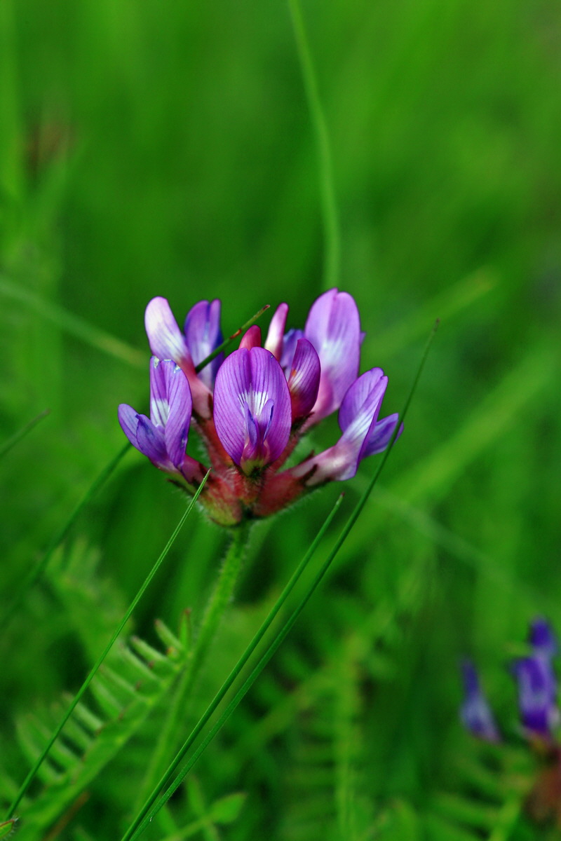 2013_05_23_00016377_Bildgr��e �ndern