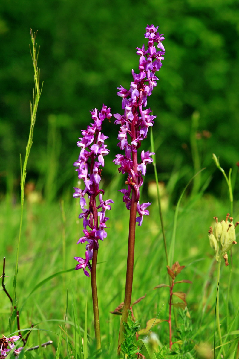 2013_05_23_00016391_Bildgr��e �ndern