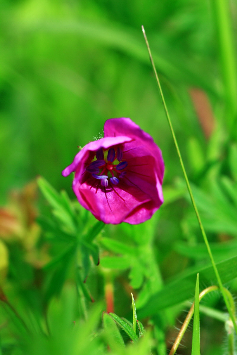 2013_05_23_00016395_Bildgr��e �ndern