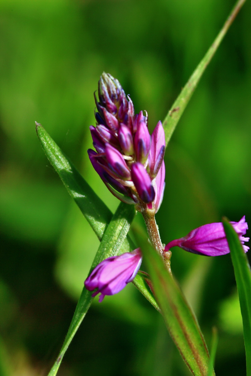 2013_05_23_00016402_Bildgr��e �ndern