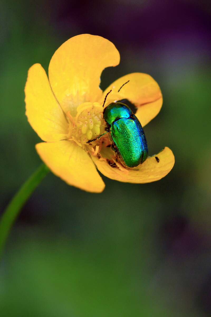 2013_05_23_00016424_Bildgr��e �ndern