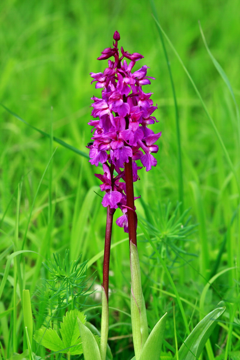 2013_05_23_00016433_Bildgr��e �ndern