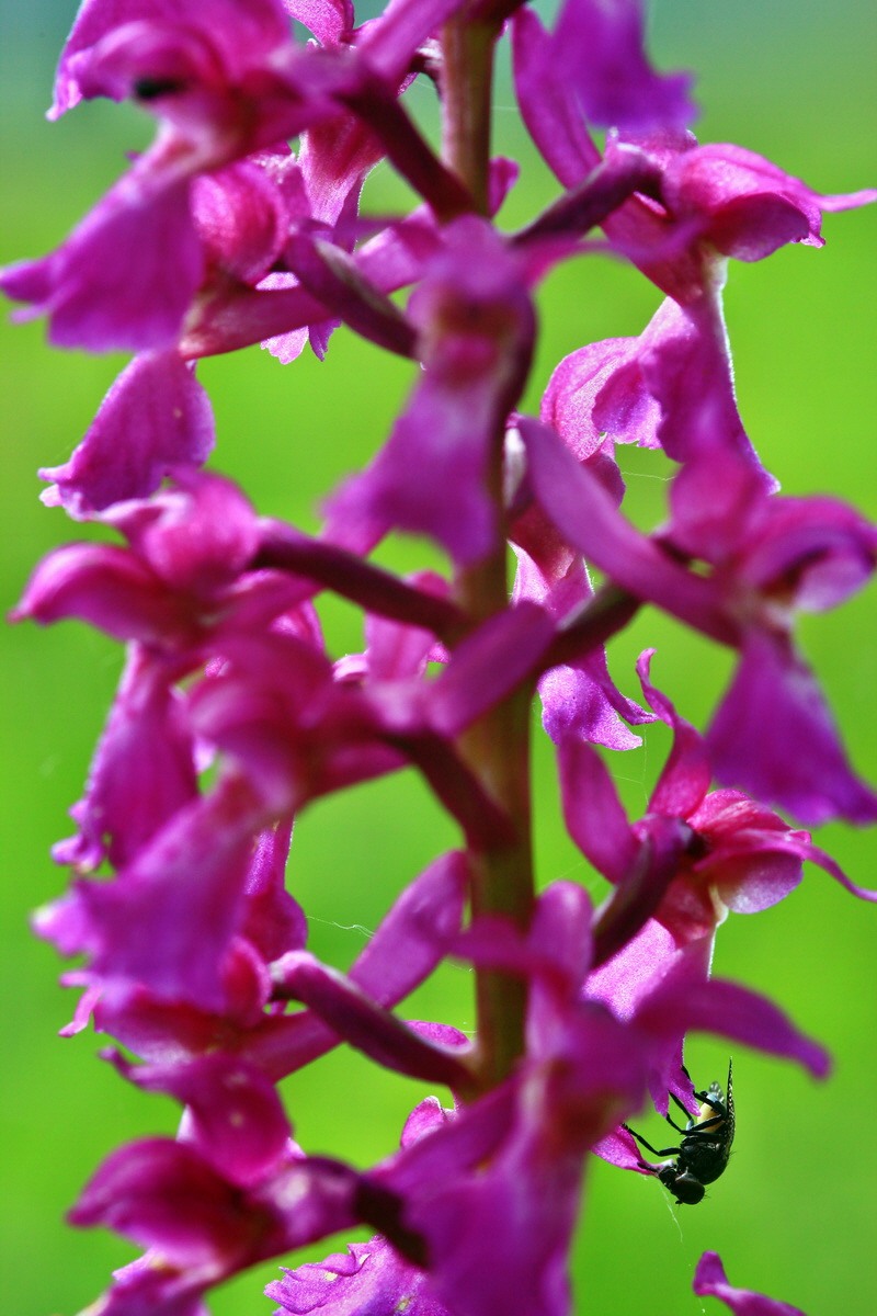 2013_05_23_00016441_Bildgr��e �ndern