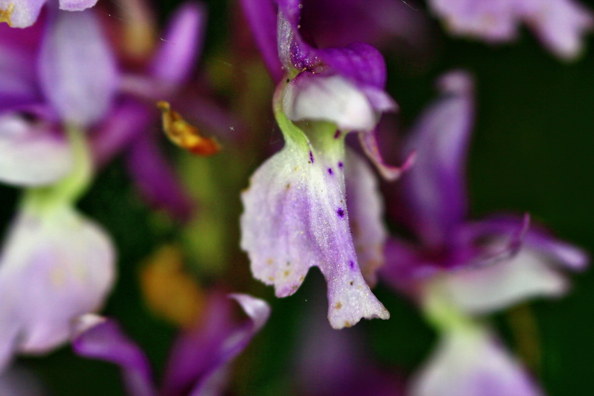 2013_05_23_00016466_Bildgr��e �ndern