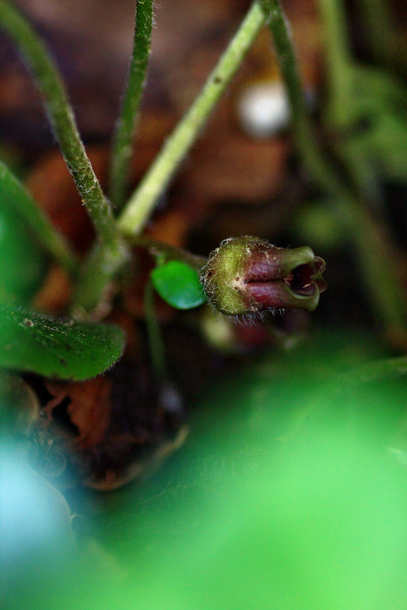 2013_05_23_00016497_Bildgr��e �ndern