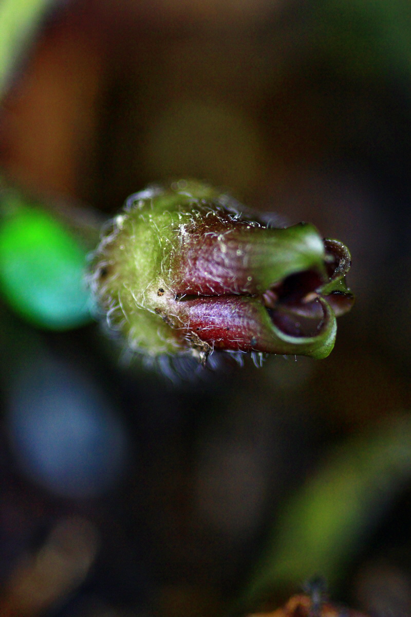 2013_05_23_00016500_Bildgr��e �ndern