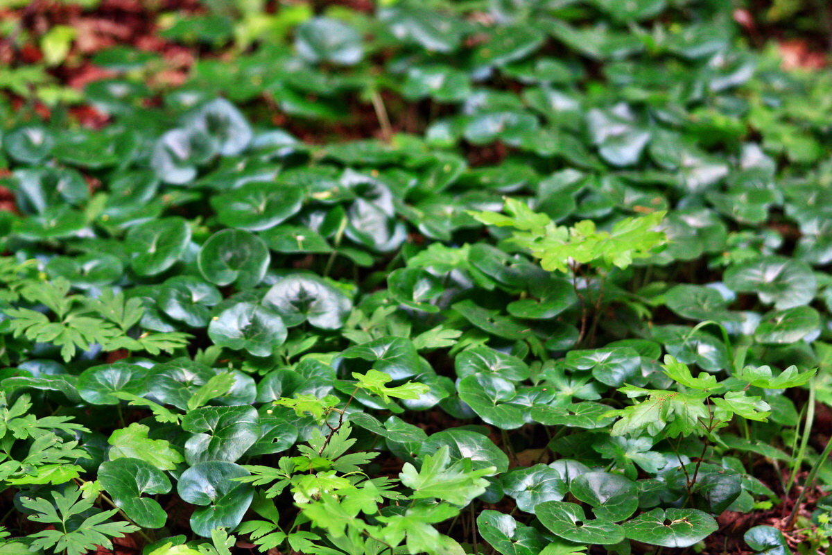 2013_05_23_00016510_Bildgr��e �ndern