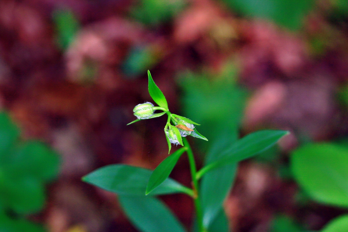 2013_05_23_00016512_Bildgr��e �ndern