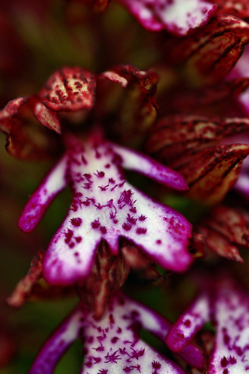 2013_05_23_00016590_Bildgr��e �ndern