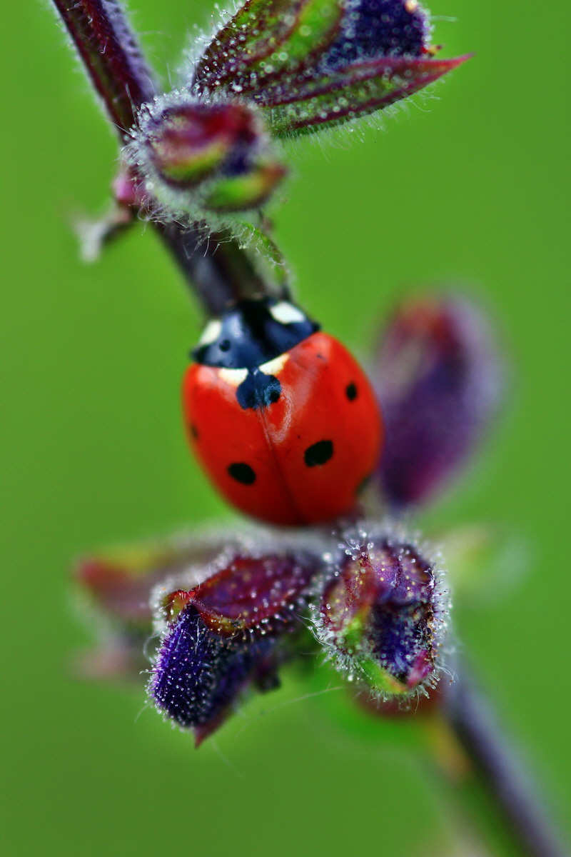 2013_05_23_00016599_Bildgr��e �ndern