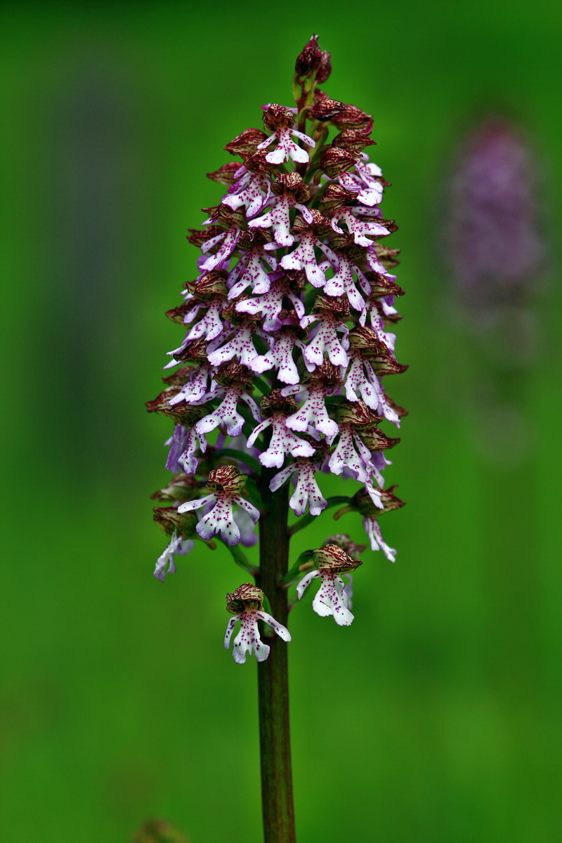 2013_05_23_00016608_Bildgr��e �ndern