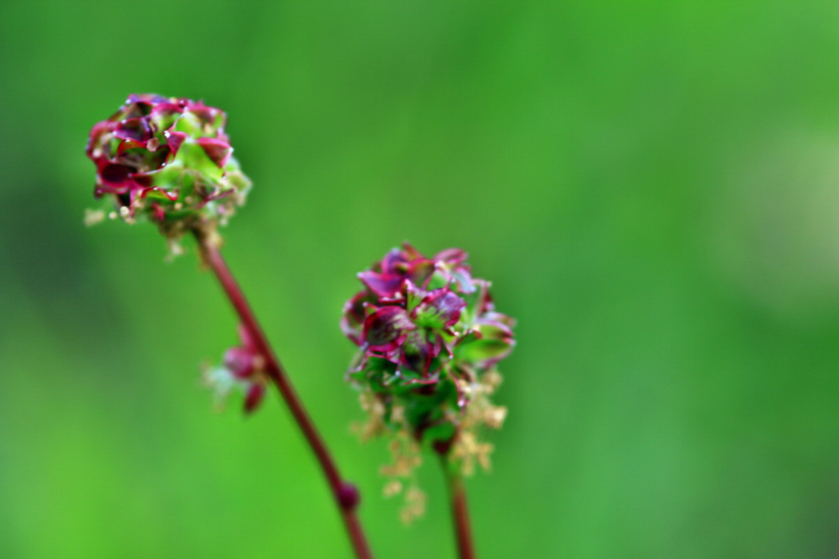 2013_05_23_00016615_Bildgr��e �ndern