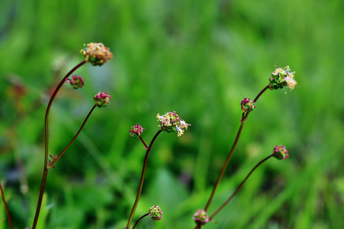 2013_05_23_00016622_Bildgr��e �ndern