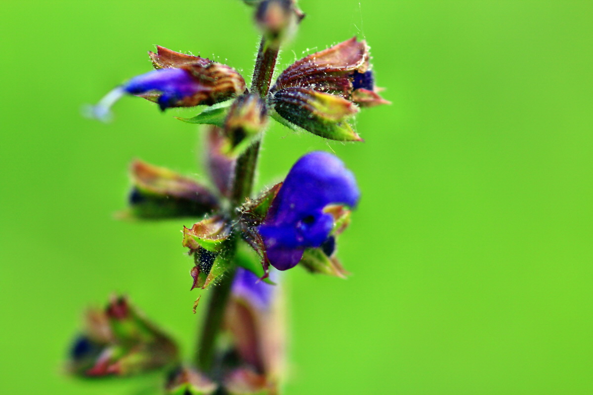 2013_05_23_00016627_Bildgr��e �ndern