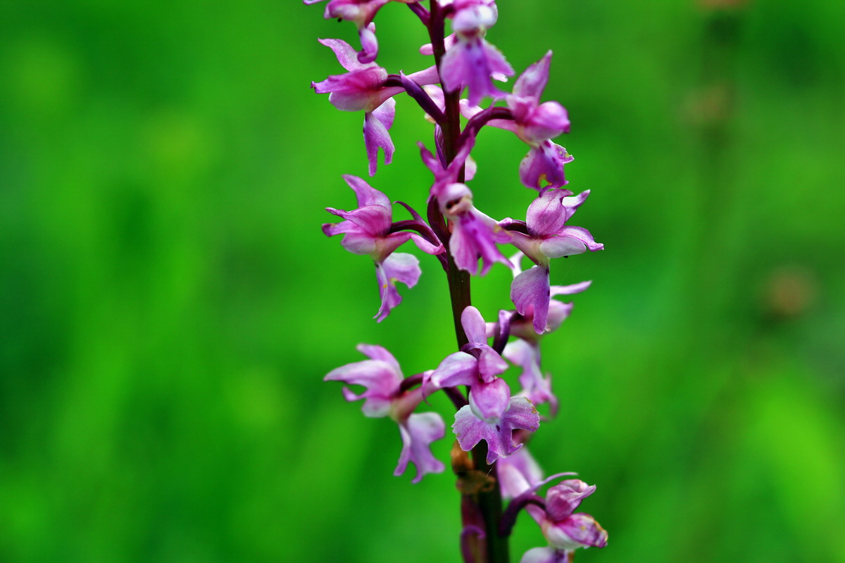 2013_05_23_00016633_Bildgr��e �ndern