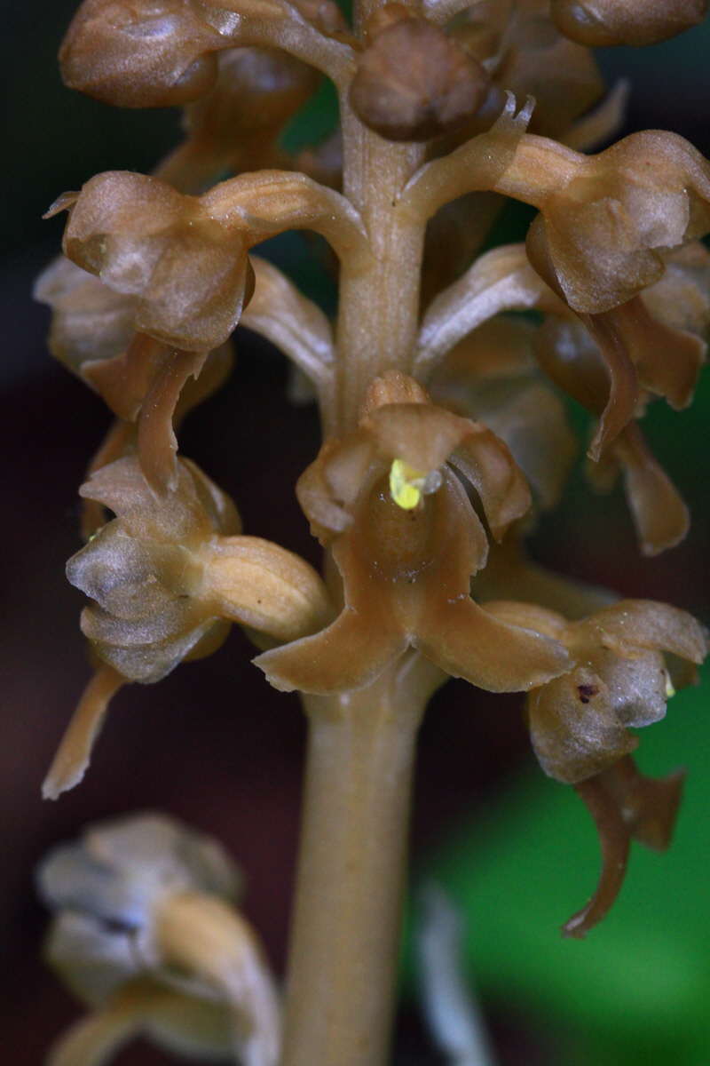 2013_05_23_00016650_Bildgr��e �ndern