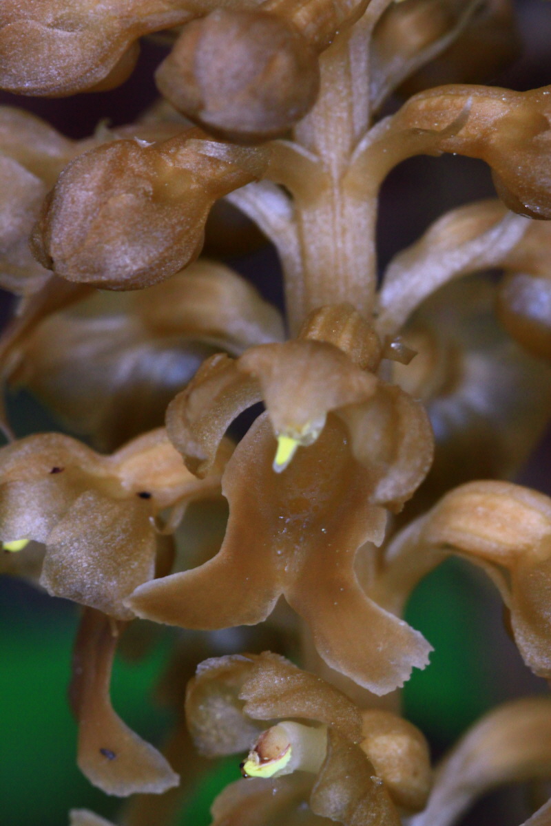 2013_05_23_00016699_Bildgr��e �ndern