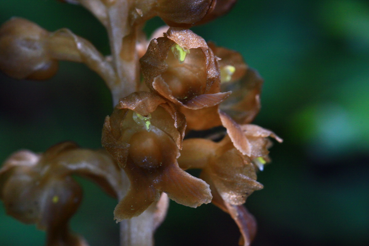 2013_05_23_00016733_Bildgr��e �ndern