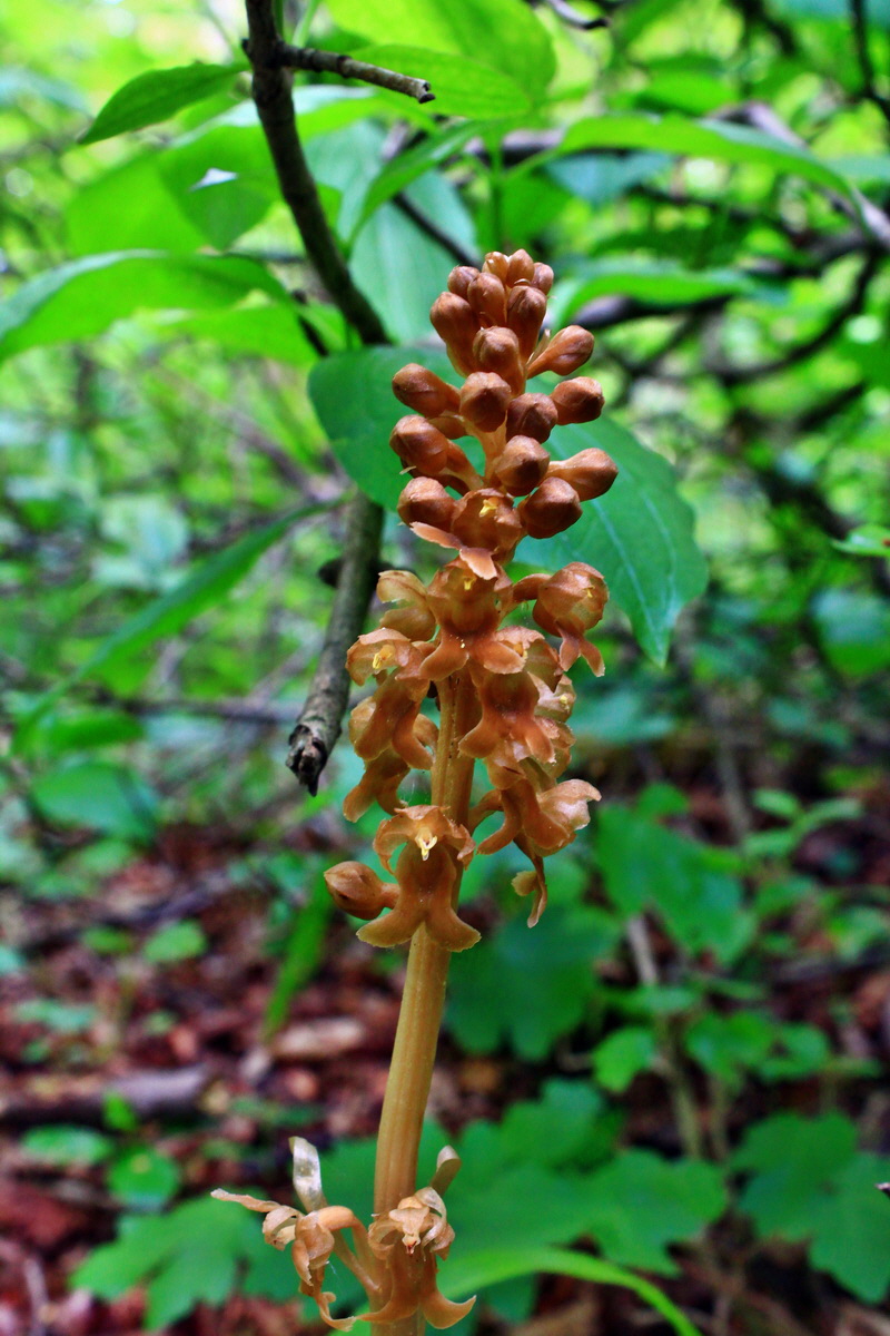 2013_05_23_00016751_Bildgr��e �ndern