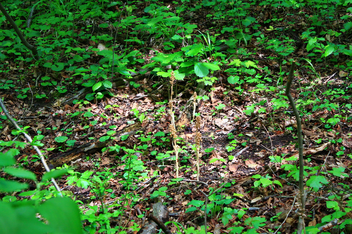 2013_05_23_00016760_Bildgr��e �ndern