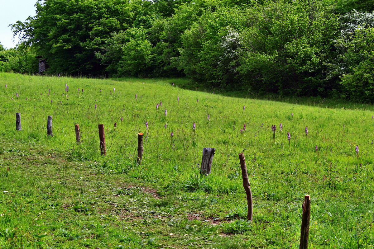 2013_05_23_00016773_Bildgr��e �ndern