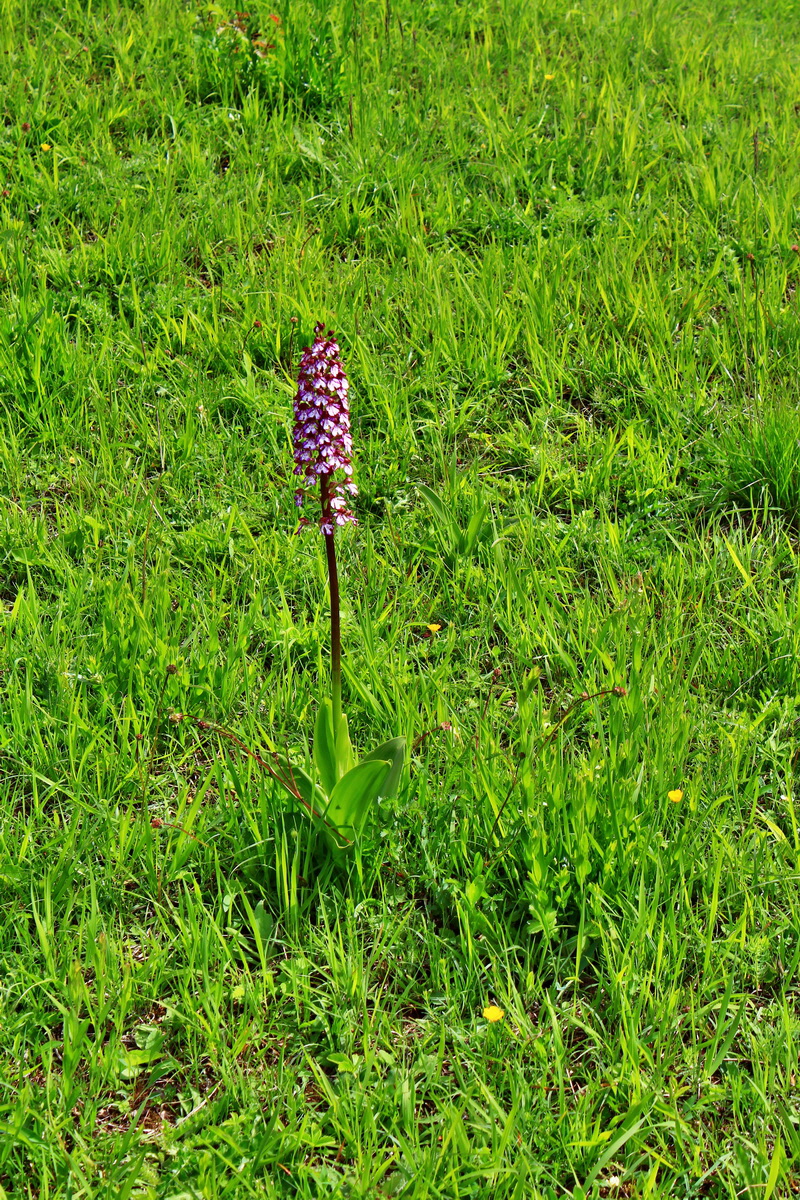 2013_05_23_00016779_Bildgr��e �ndern