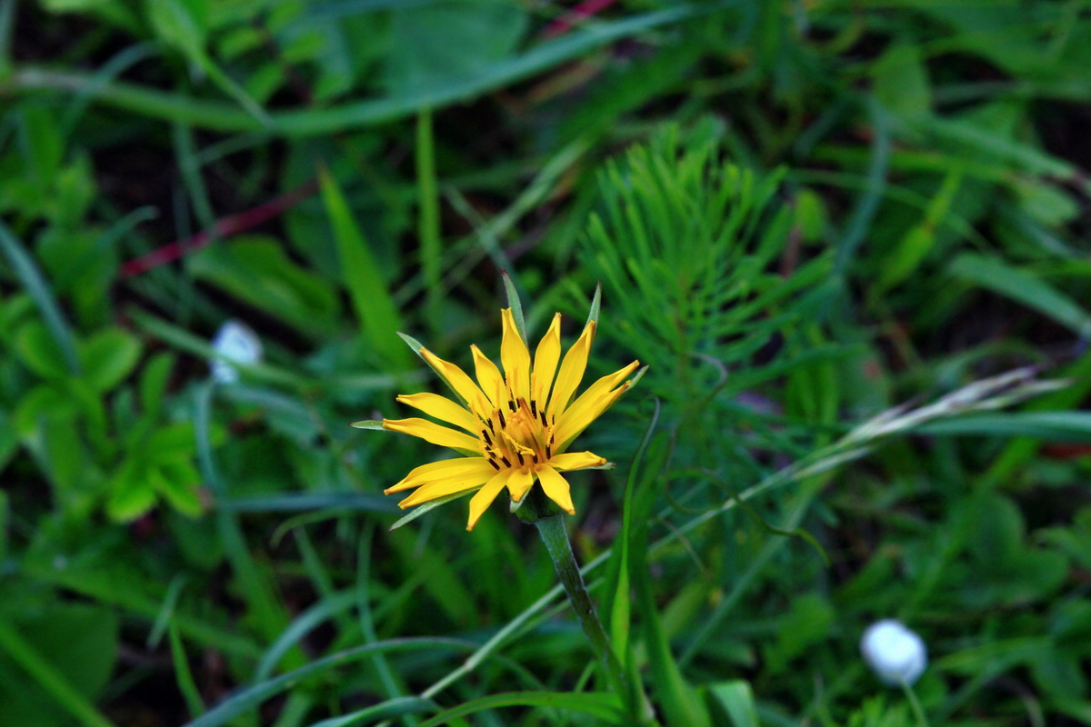 2013_05_23_00016799_Bildgr��e �ndern