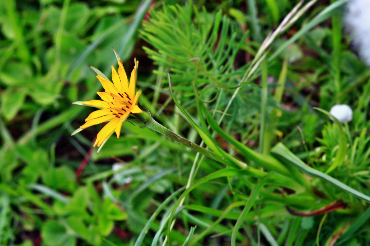 2013_05_23_00016803_Bildgr��e �ndern