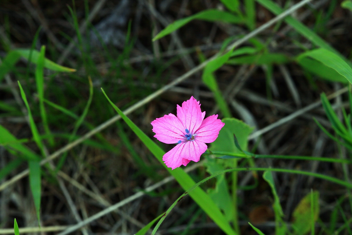 2013_05_23_00016807_Bildgr��e �ndern