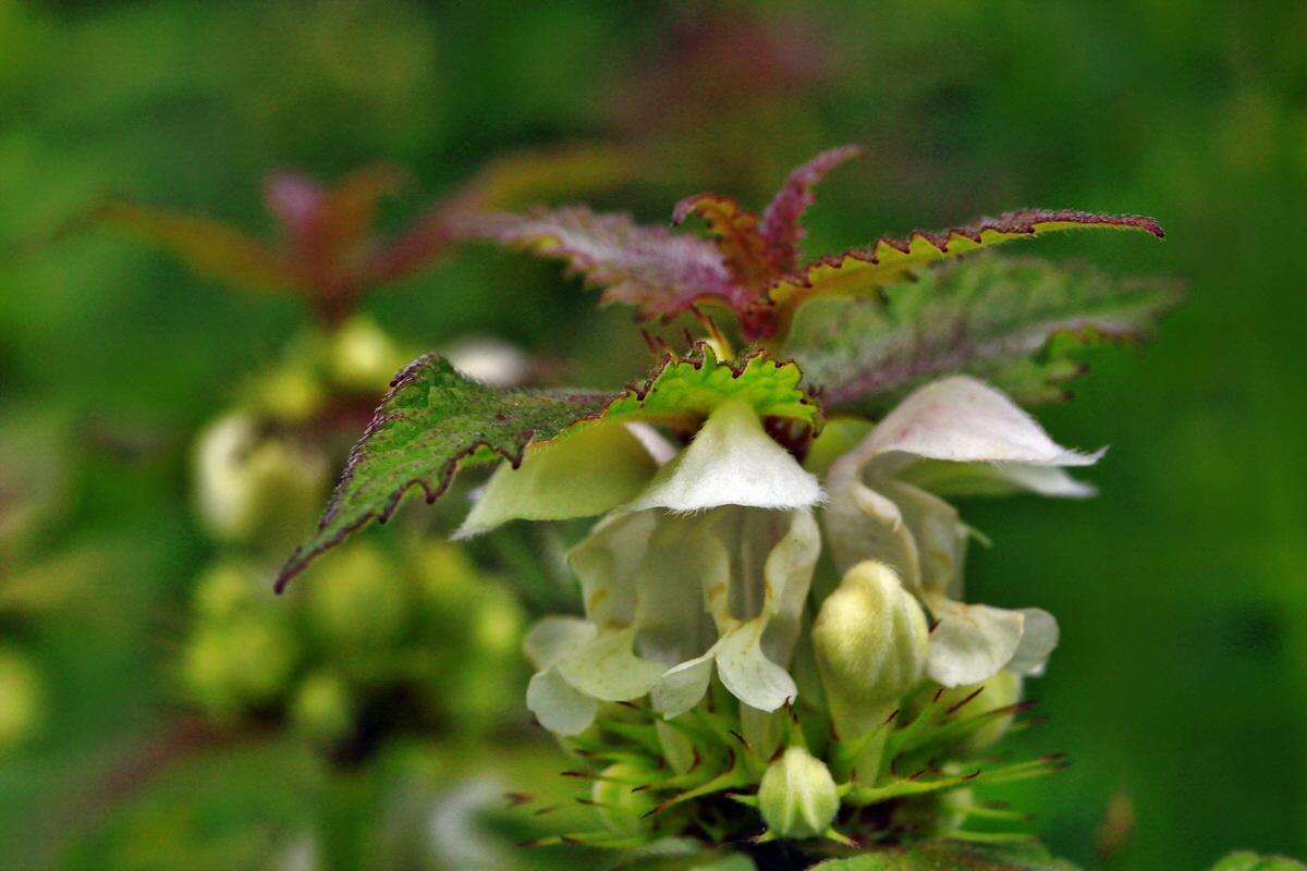 2013_05_23_00016829_Bildgr��e �ndern