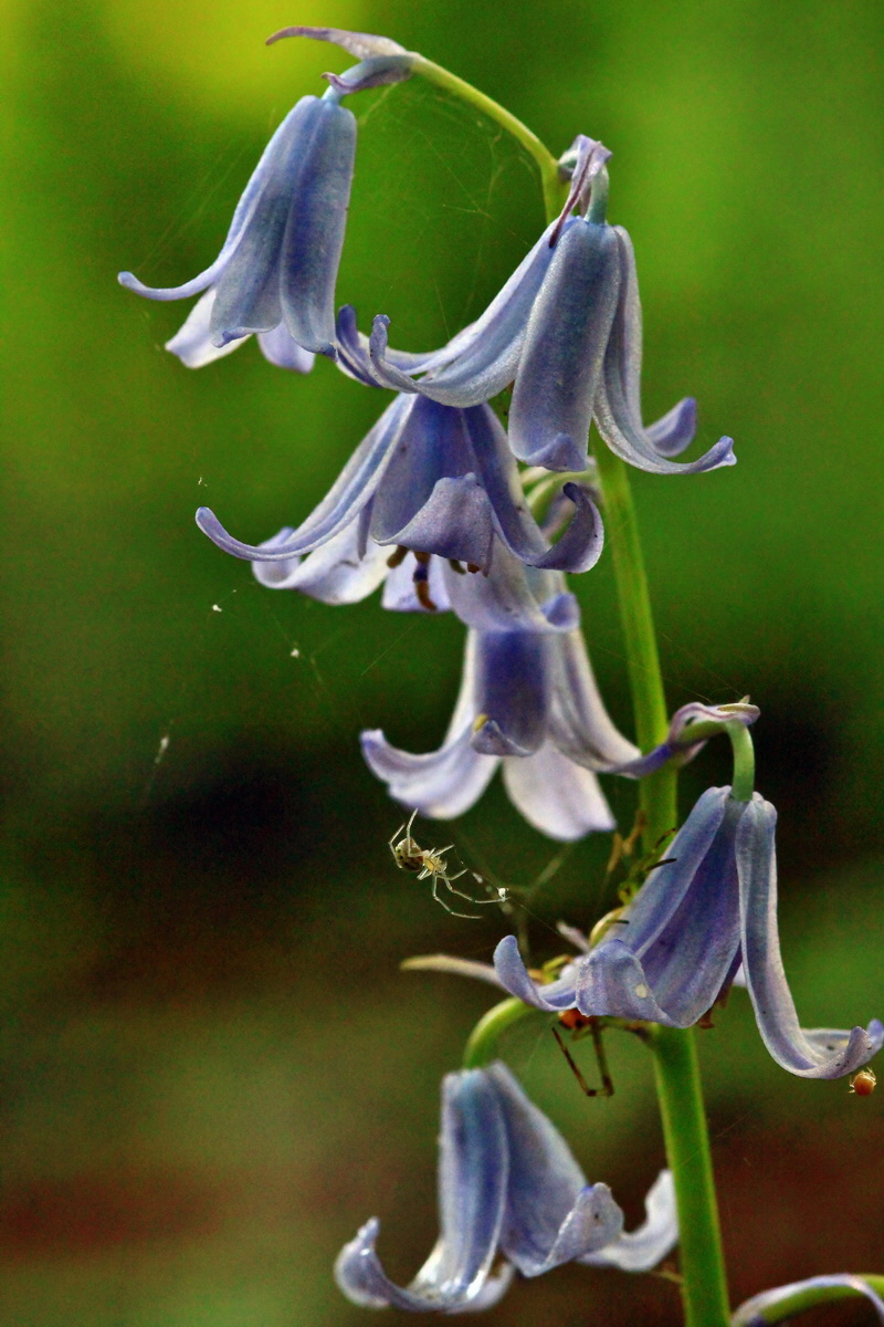 2013_05_28_00017222_Bildgr��e �ndern