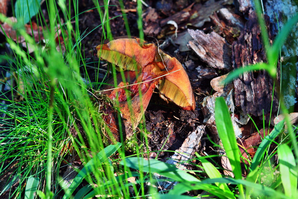 2013_05_28_00017256_Bildgr��e �ndern