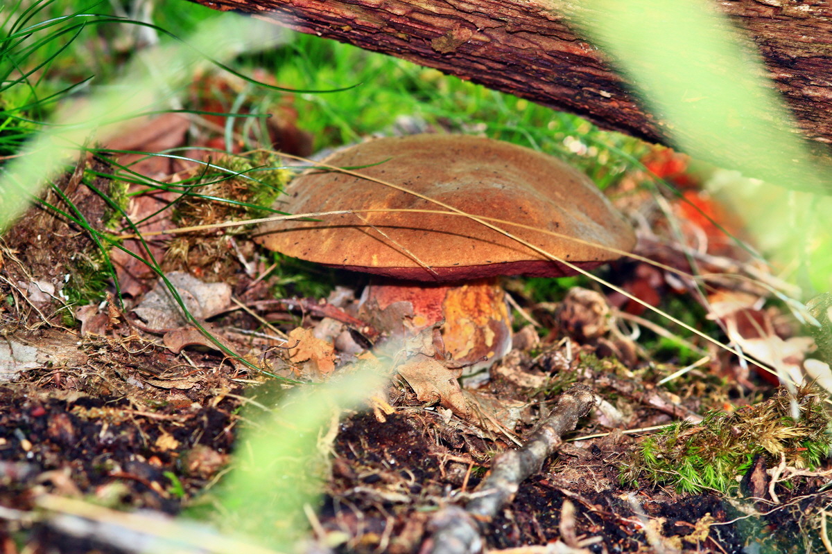 2013_05_28_00017266_Bildgr��e �ndern