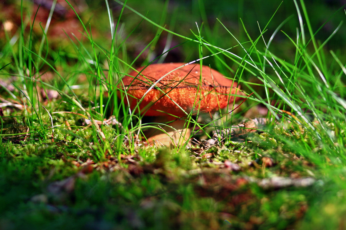 2013_05_28_00017284_Bildgr��e �ndern