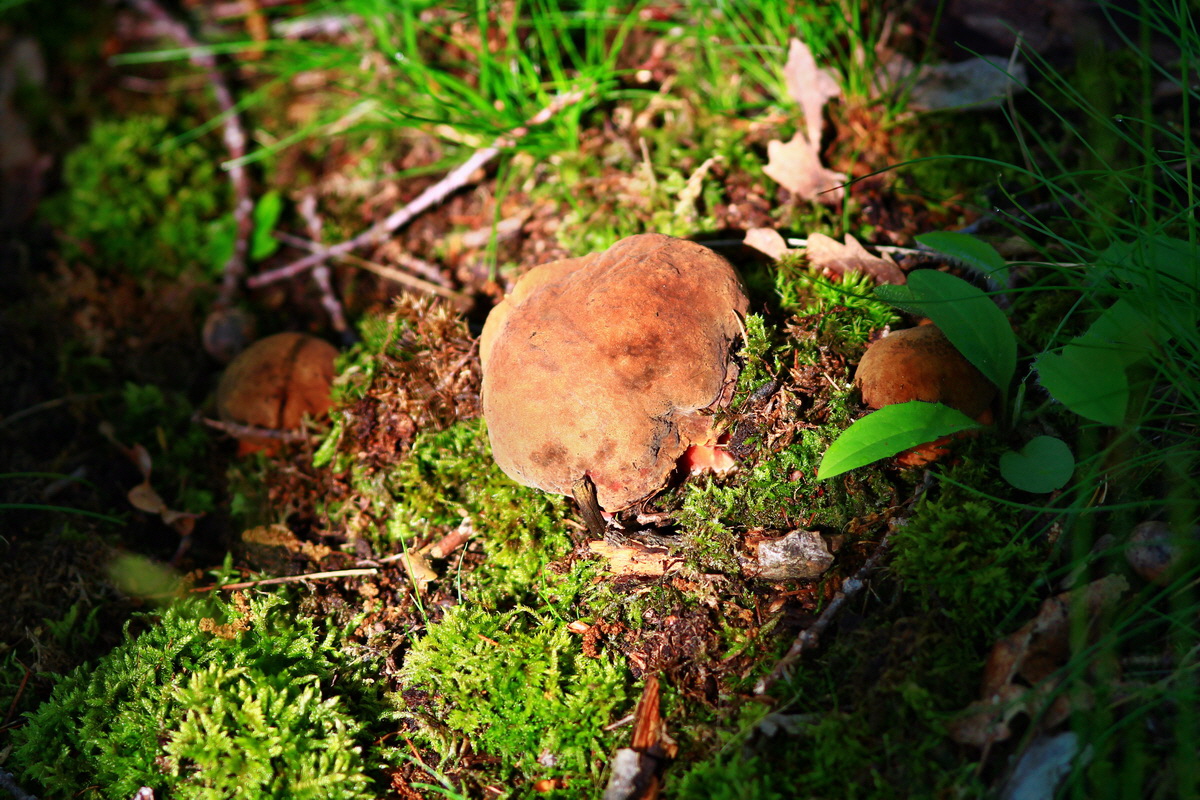 2013_05_28_00017300_Bildgr��e �ndern