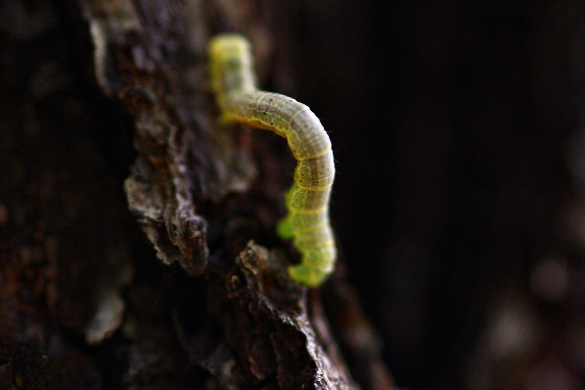 2013_05_28_00017328_Bildgr��e �ndern