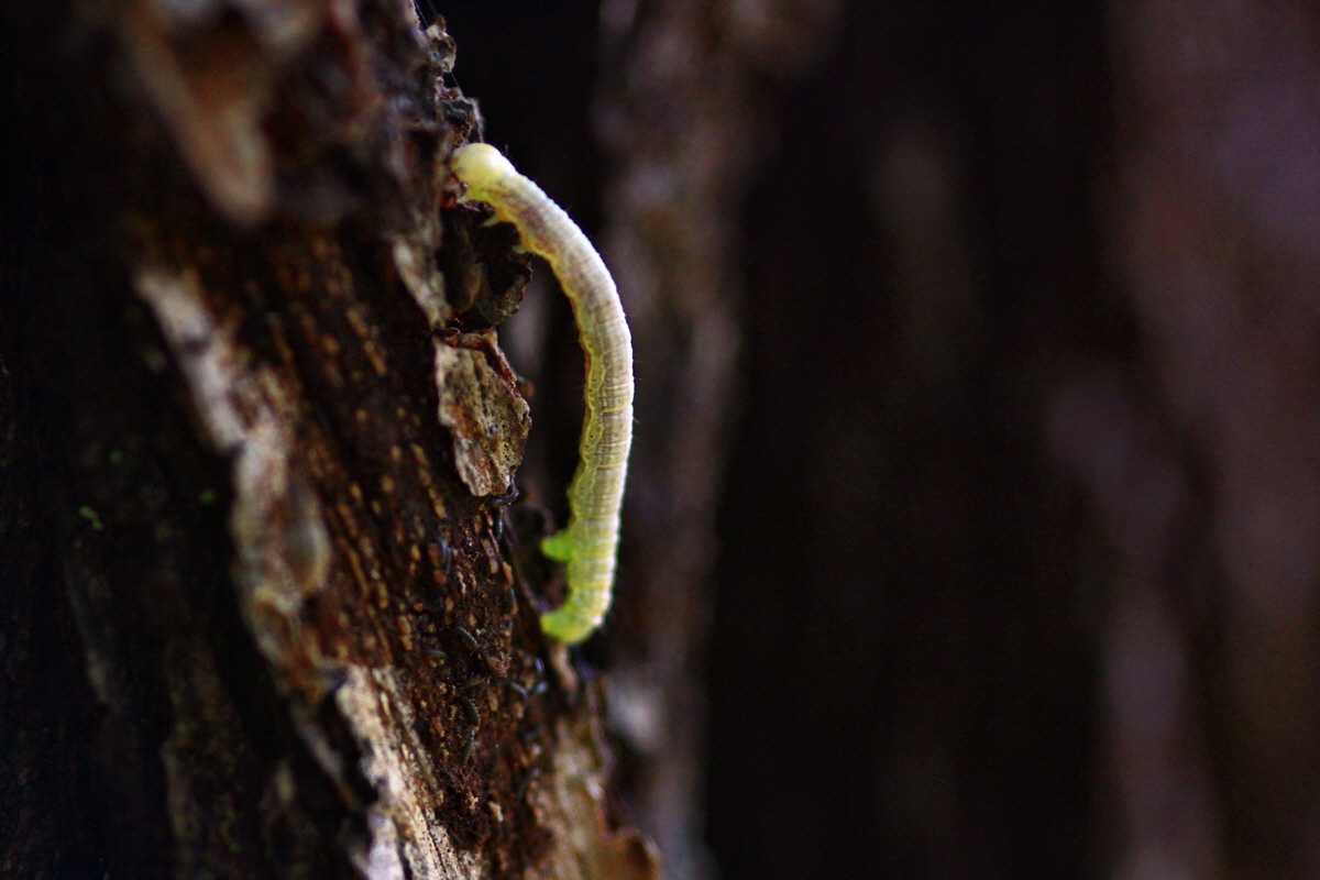 2013_05_28_00017332_Bildgr��e �ndern