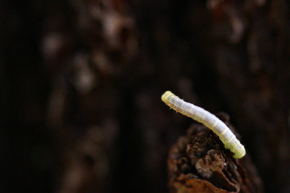 2013_05_28_00017368_Bildgr��e �ndern