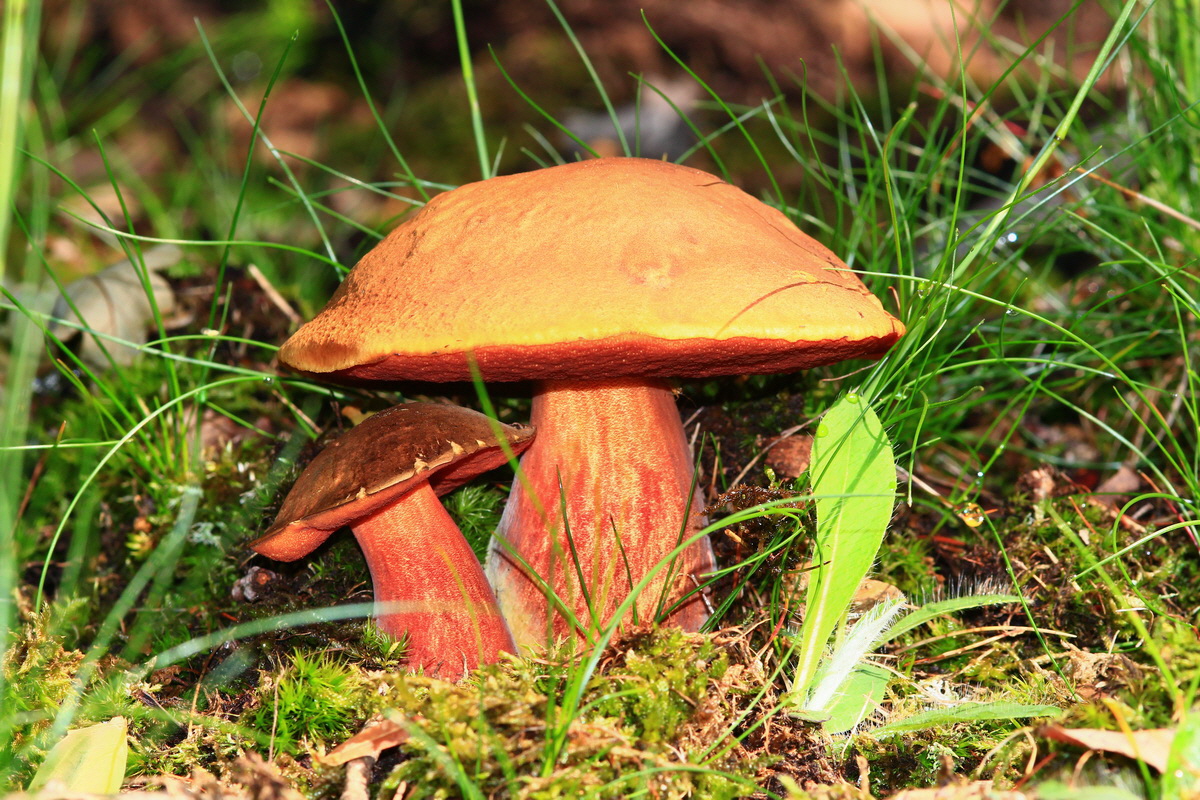 2013_05_28_00017396_Bildgr��e �ndern