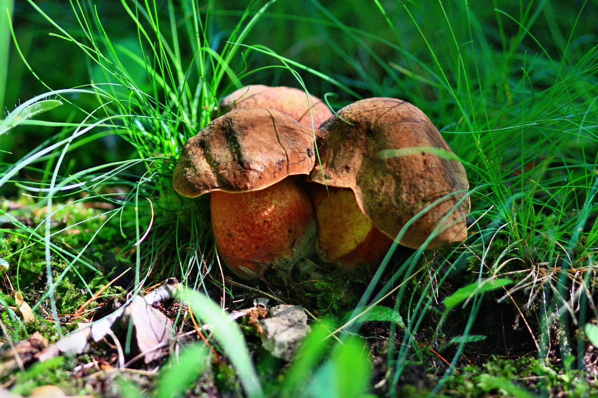 2013_05_28_00017405_Bildgr��e �ndern