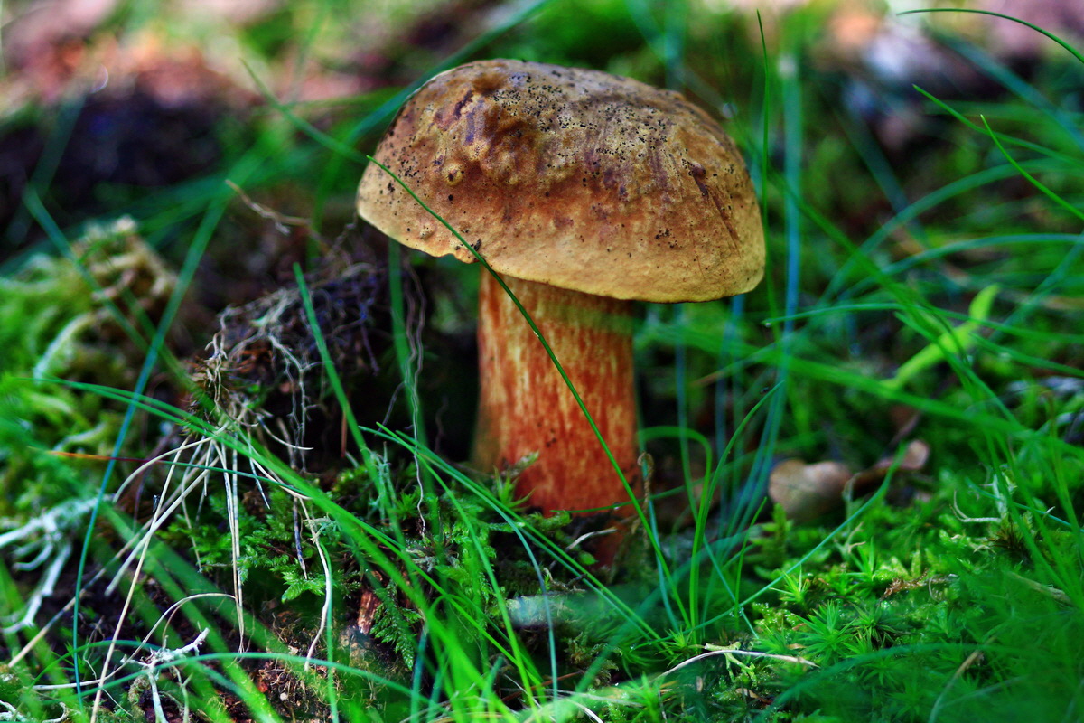 2013_05_28_00017412_Bildgr��e �ndern