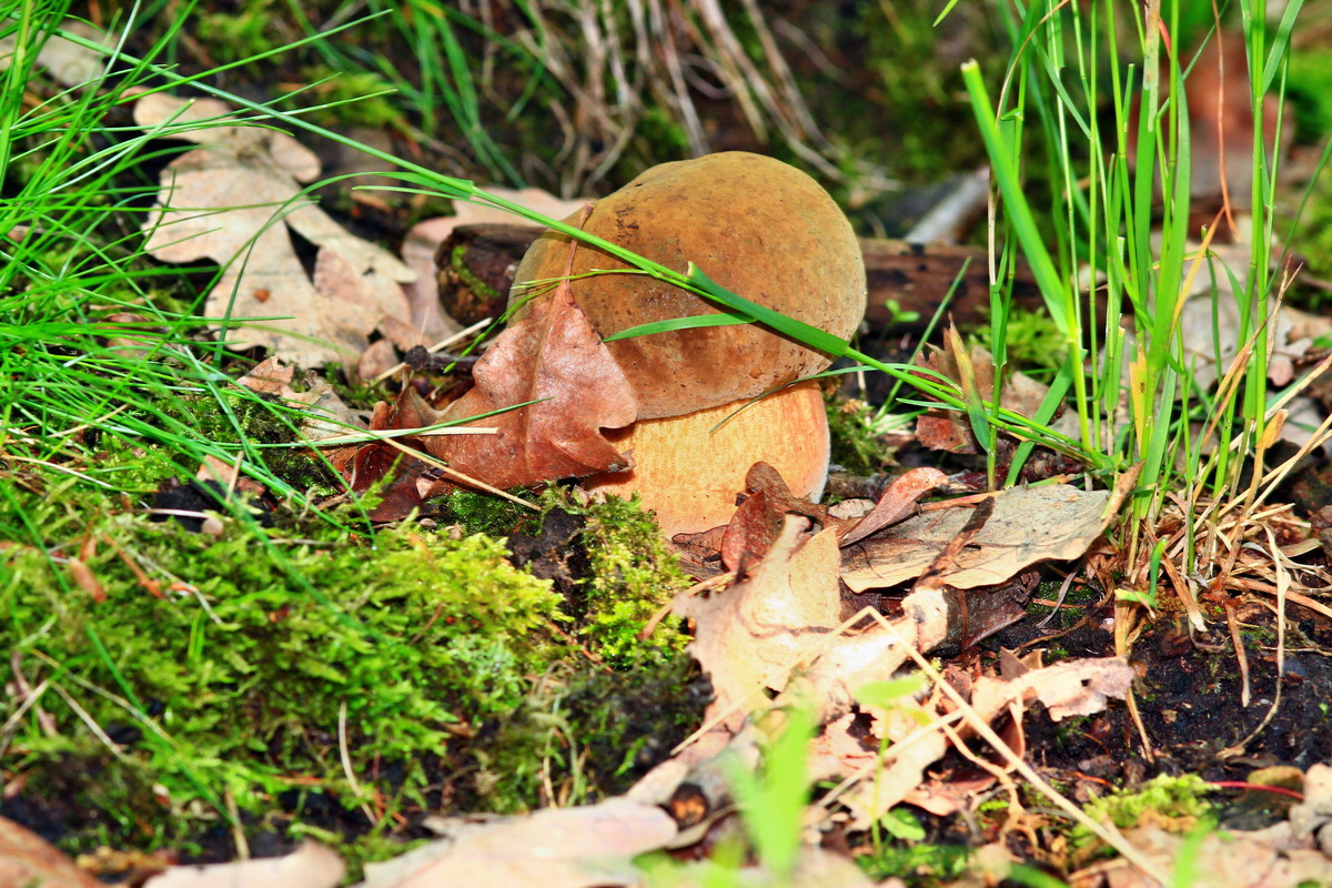 2013_05_28_00017418_Bildgr��e �ndern