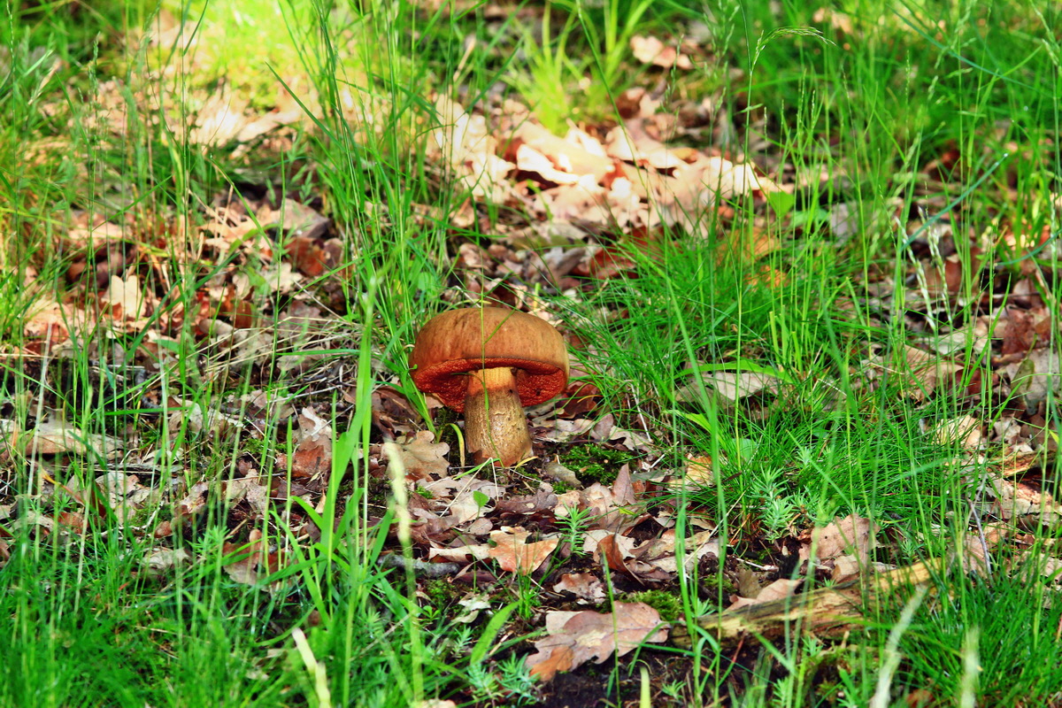 2013_05_28_00017428_Bildgr��e �ndern