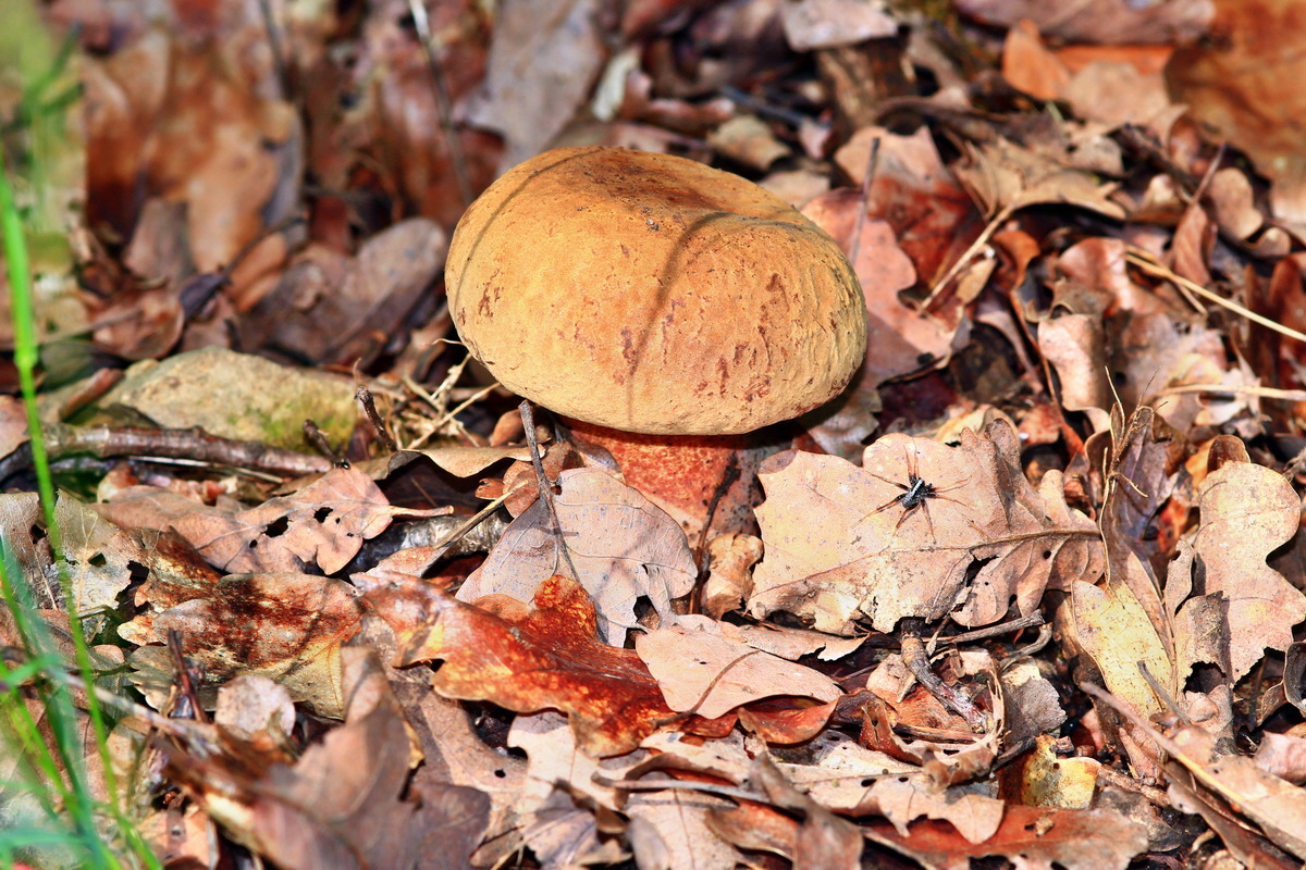 2013_05_28_00017431_Bildgr��e �ndern