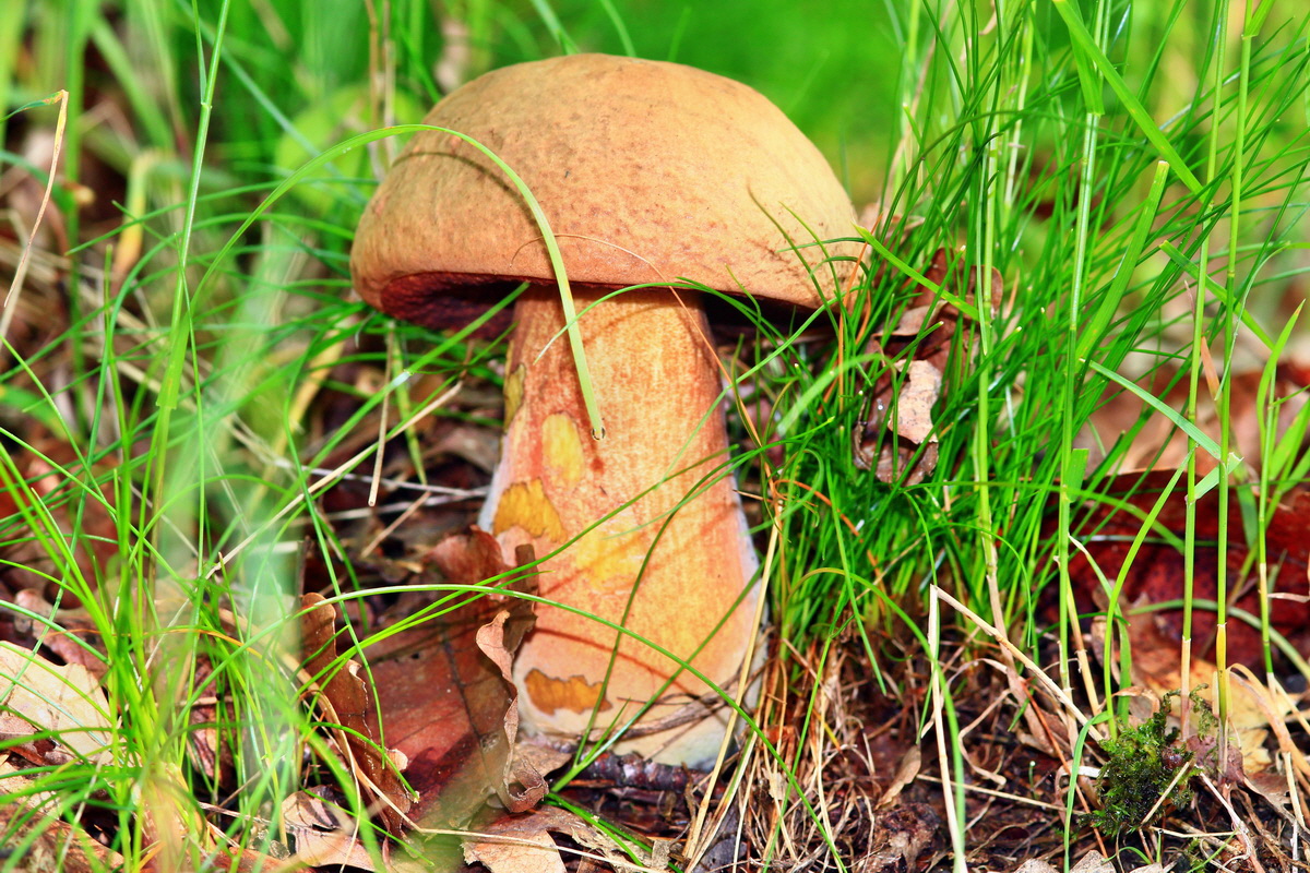 2013_05_28_00017441_Bildgr��e �ndern