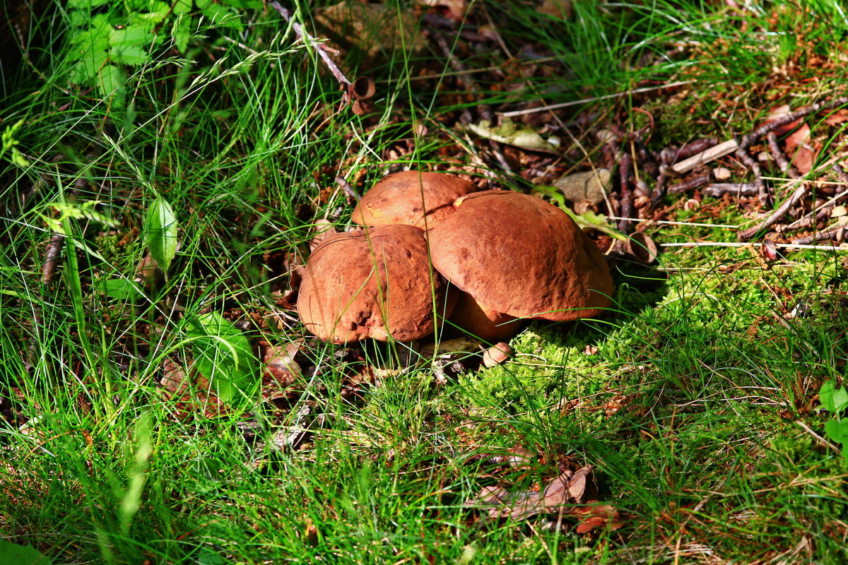 2013_05_28_00017458_Bildgr��e �ndern