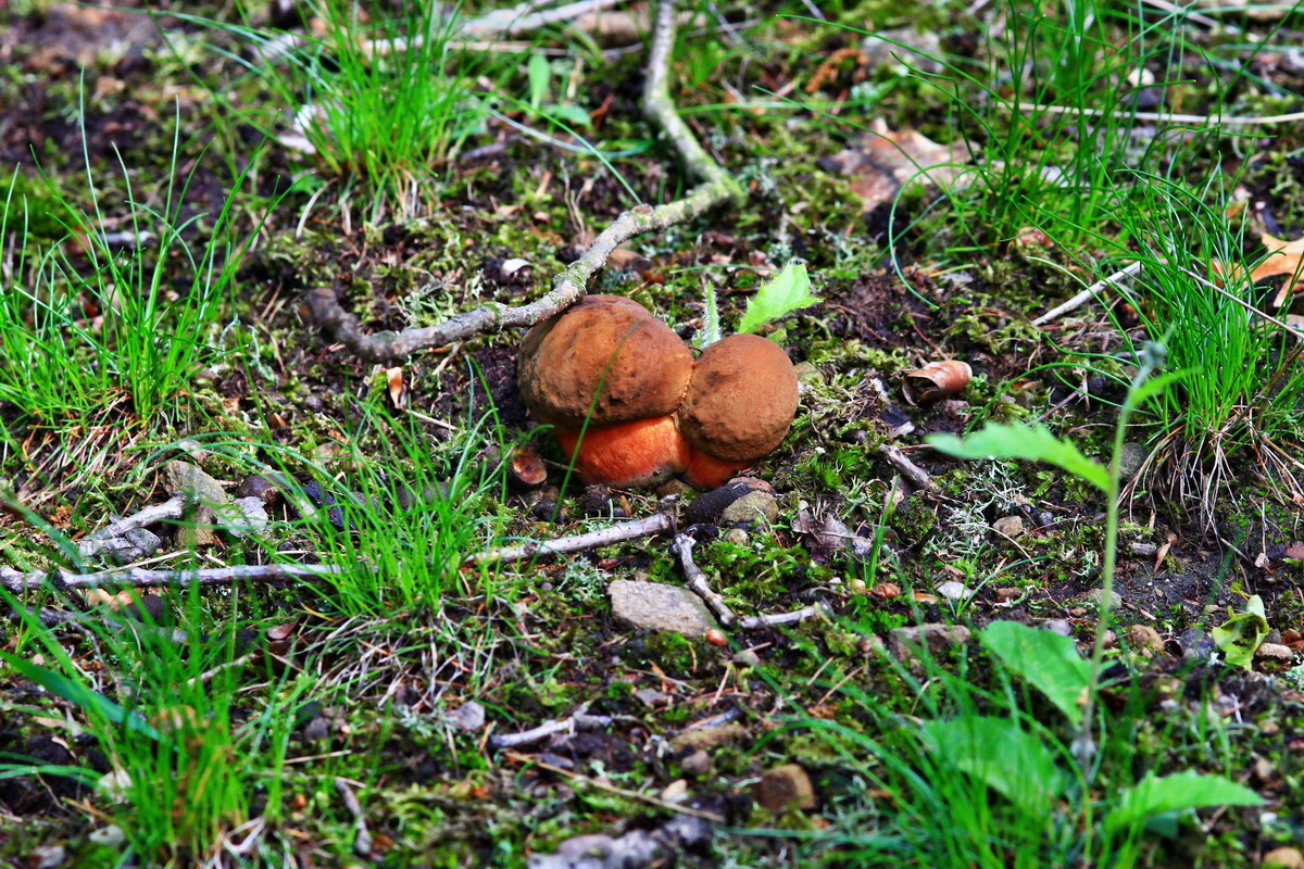 2013_05_28_00017463_Bildgr��e �ndern